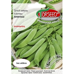 Groch siewny słodki cukrowy AMBROSIA nasiona 50g